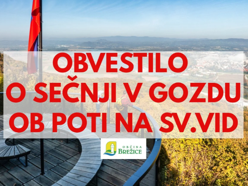 Pomembno obvestilo o sečnji v gozdu ob sprehajalni poti na Sveti Vid